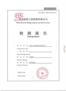 上海公司检测报告